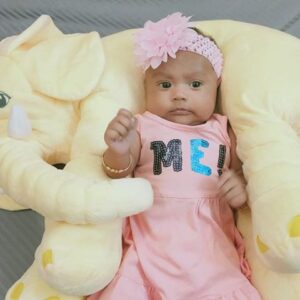 Elephant Pillow Plush Toys Stuffed Doll
