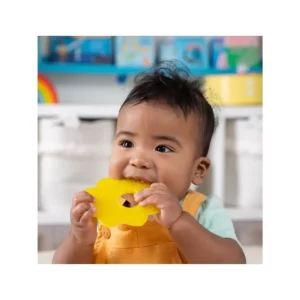 Baby Teether
