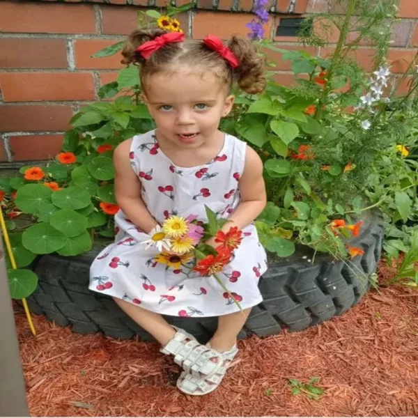 Kids Cherry Print Princes Frock - Image 2