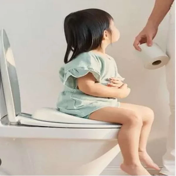 Toilet Seat