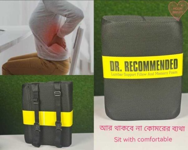 DR. Recommended Lumbar Support Pillow